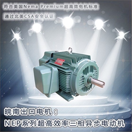 皖南电机-NEP系列超安博官方网页版-安博（中国）
