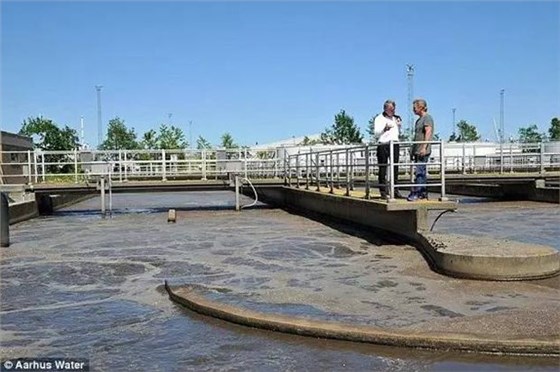 皖南电机:丹麦水处理 皖南电机:丹麦水处理