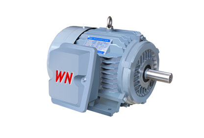 NE系列高效高转矩三相异步电动机 NE系列高效高转矩三相异步电动机
